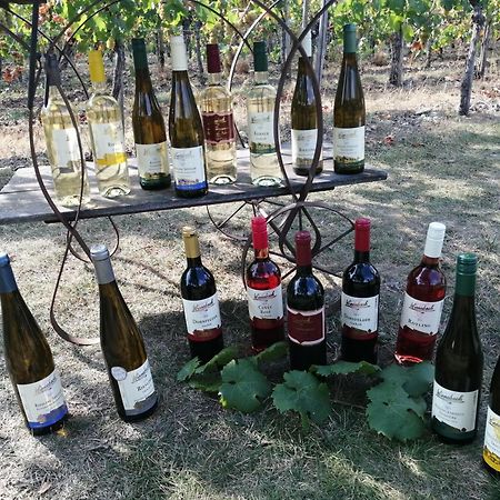 Ferienweingut Winnebeck Köwerich Esterno foto