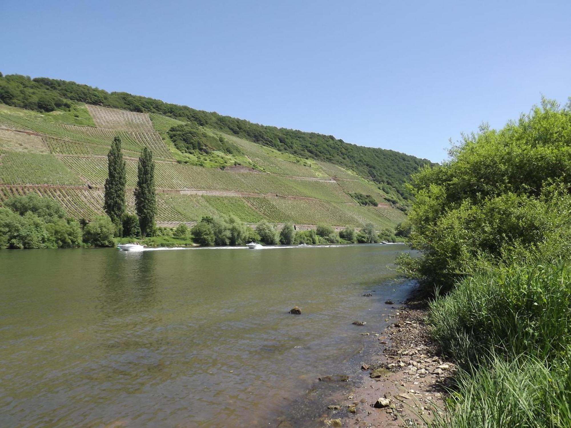 Ferienweingut Winnebeck Köwerich Camera foto