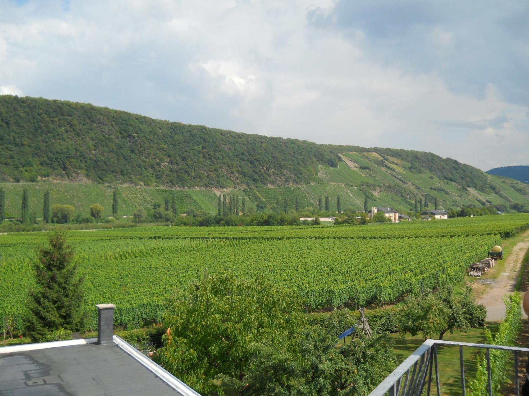 Ferienweingut Winnebeck Köwerich Camera foto