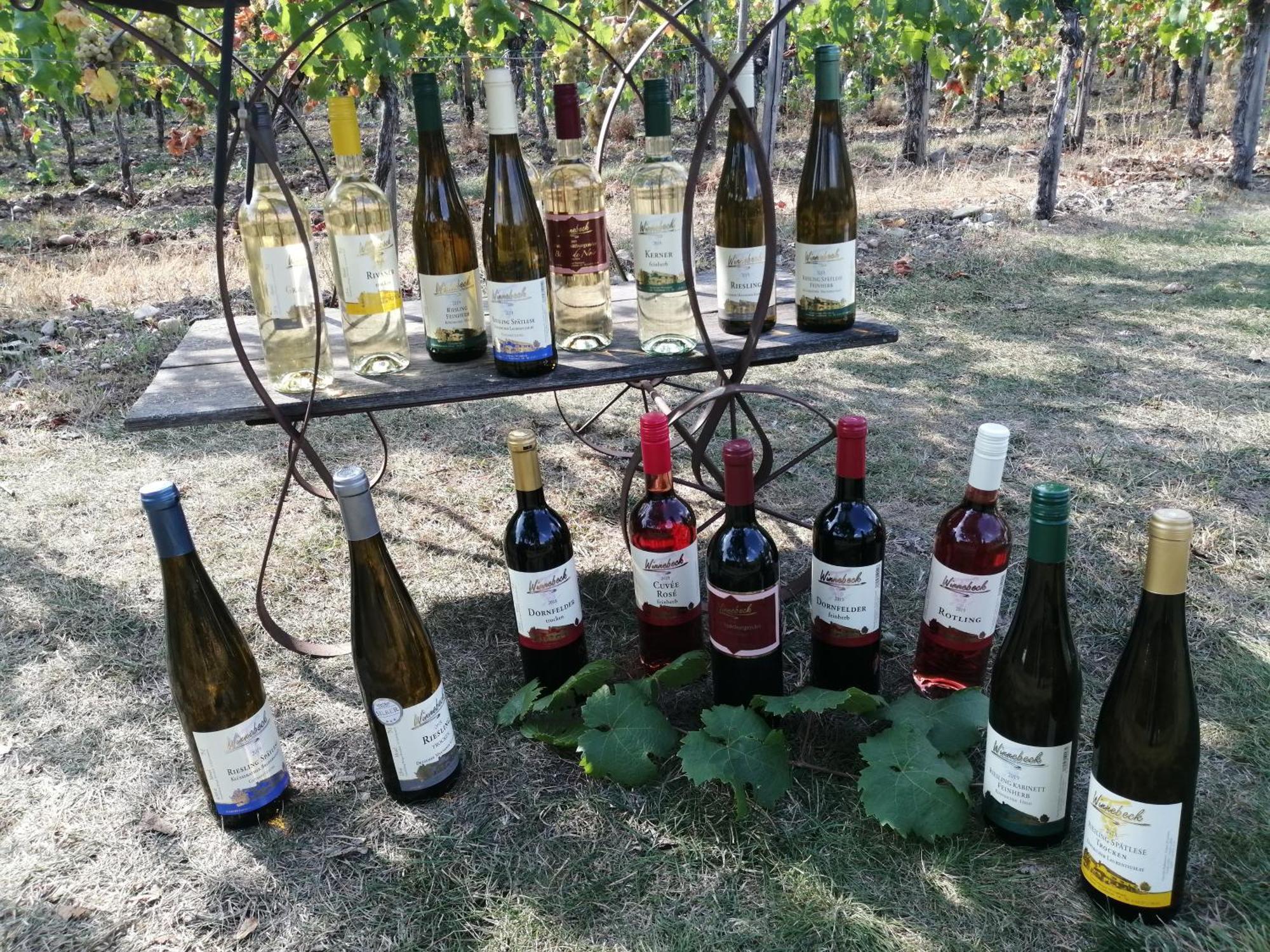 Ferienweingut Winnebeck Köwerich Esterno foto