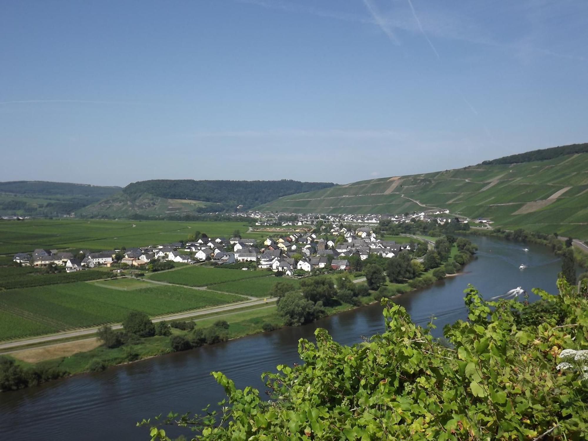 Ferienweingut Winnebeck Köwerich Camera foto
