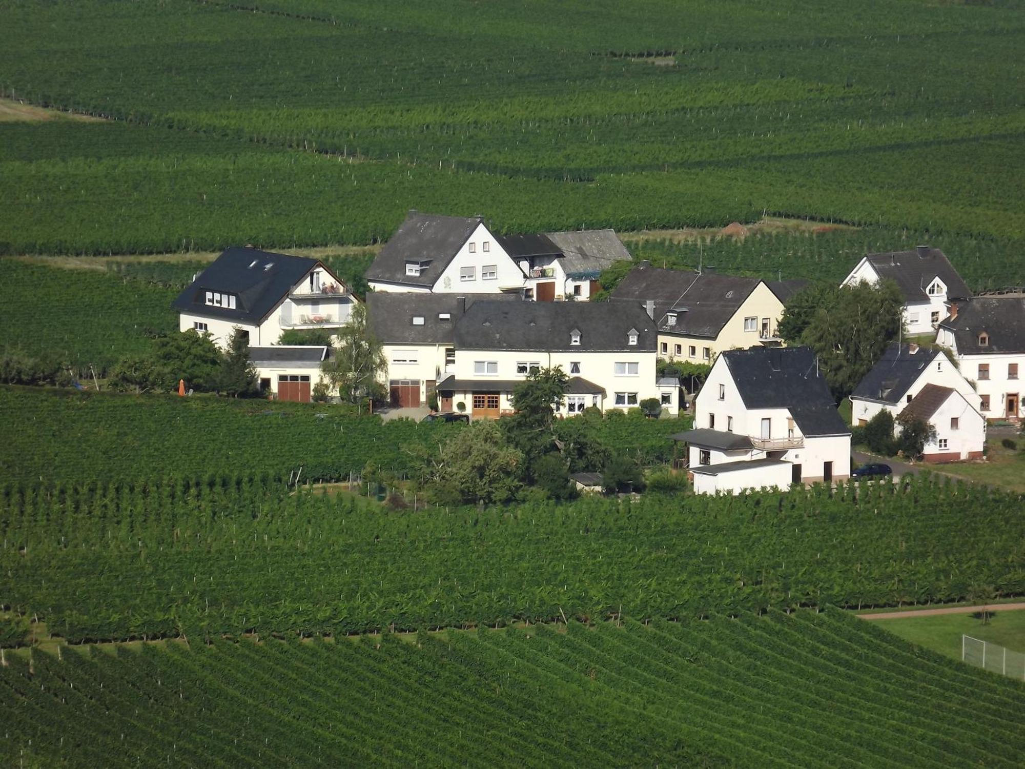 Ferienweingut Winnebeck Köwerich Camera foto
