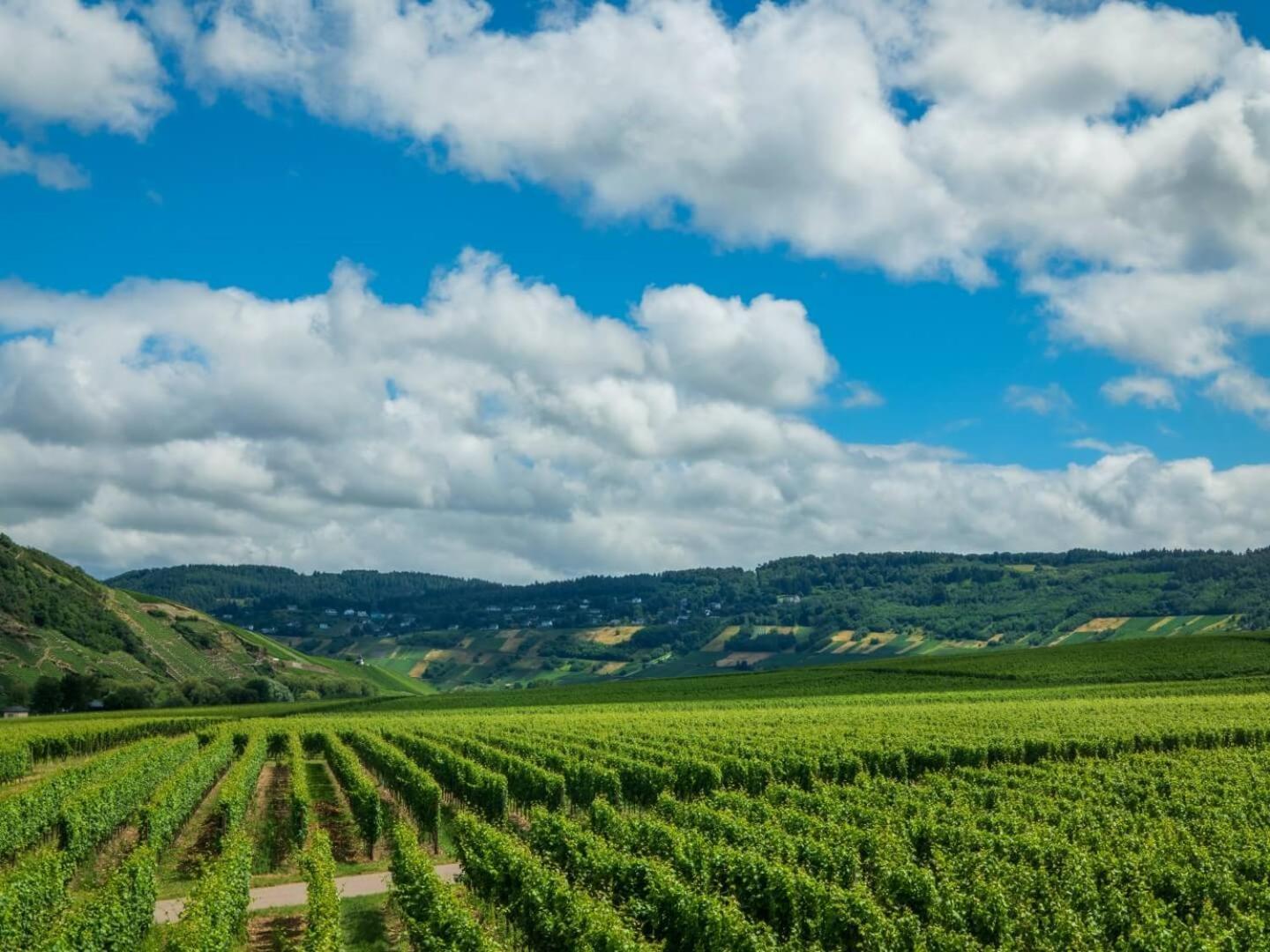 Ferienweingut Winnebeck Köwerich Esterno foto