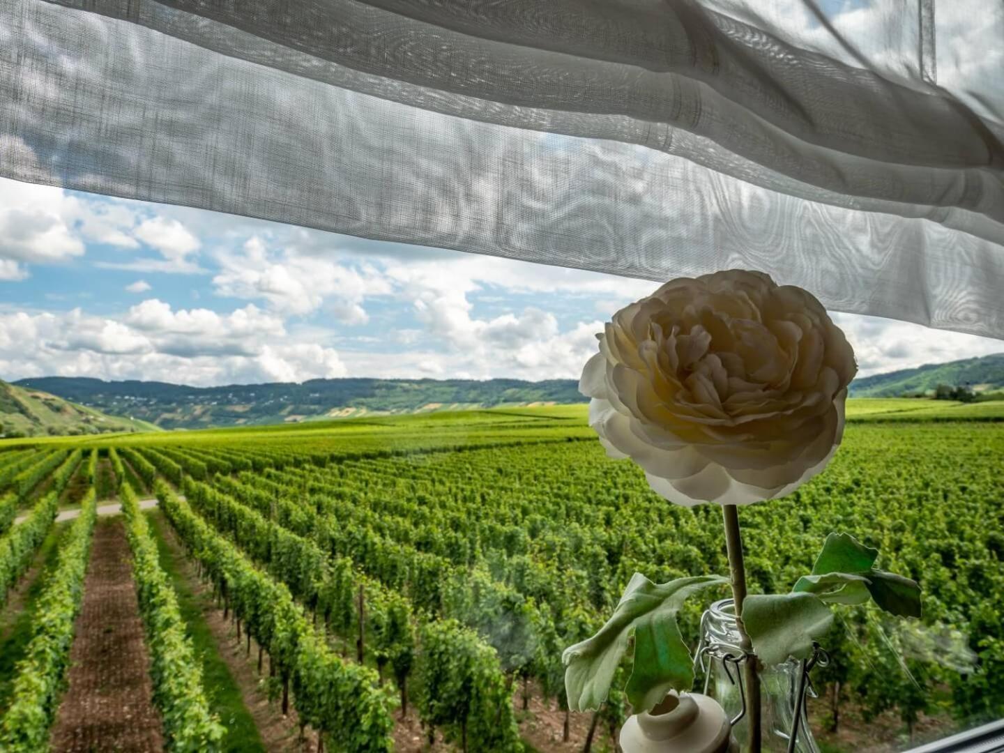 Ferienweingut Winnebeck Köwerich Esterno foto