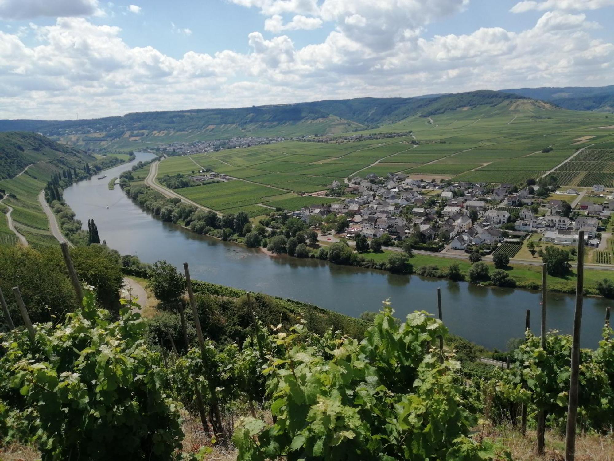 Ferienweingut Winnebeck Köwerich Esterno foto