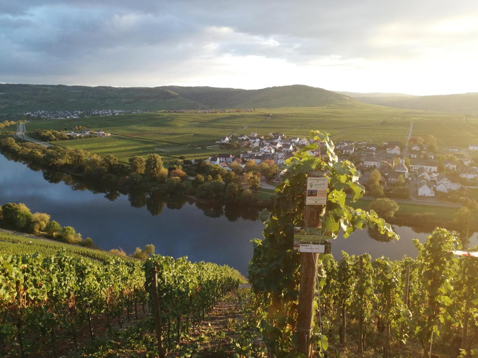 Ferienweingut Winnebeck Köwerich Esterno foto