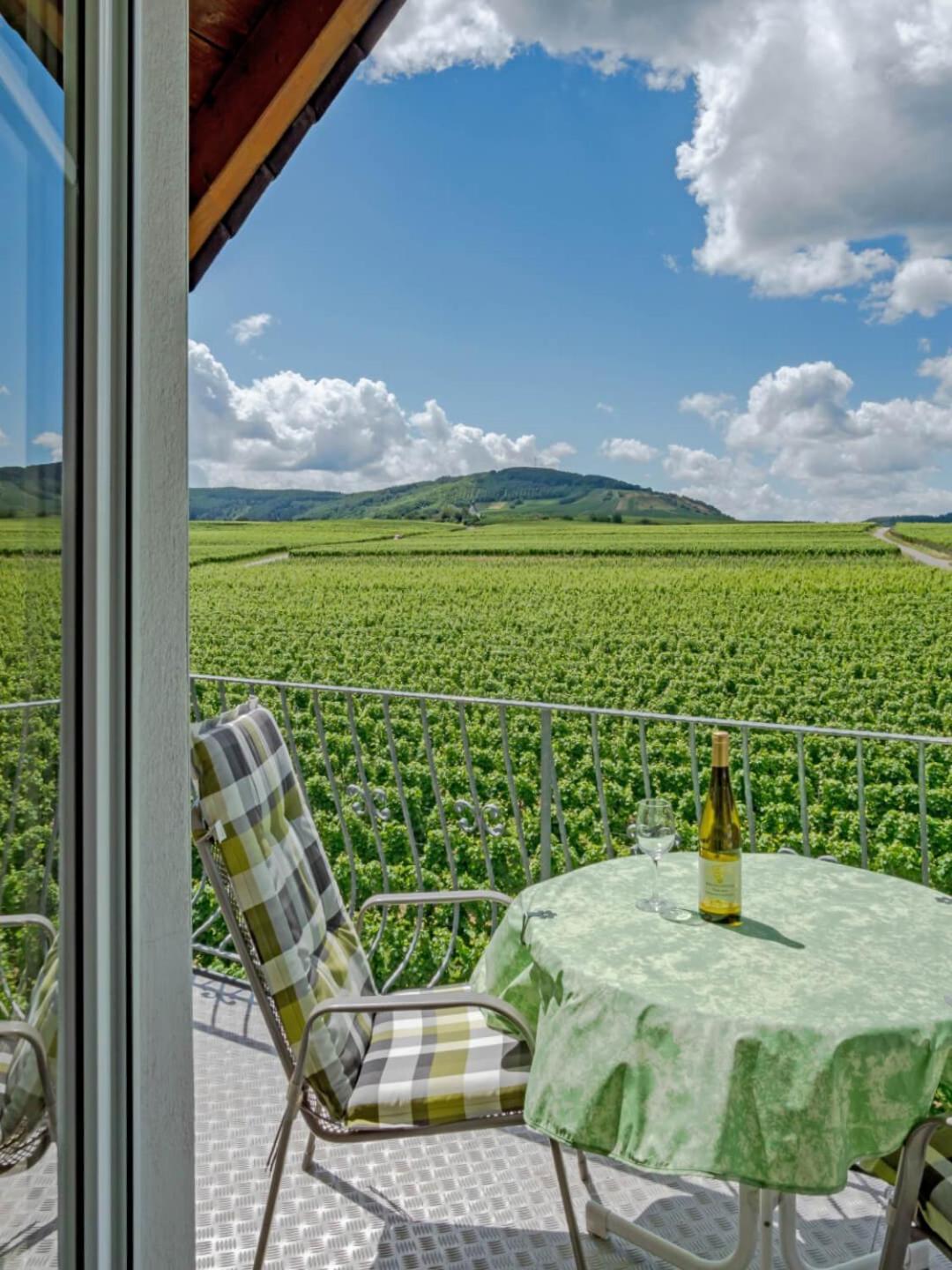 Ferienweingut Winnebeck Köwerich Esterno foto